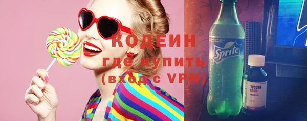 ECSTASY Бородино