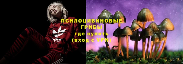 ECSTASY Бородино