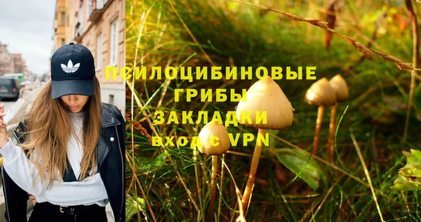 мяу мяу мука Бугульма