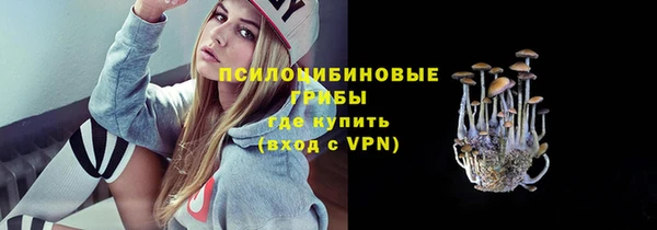 ECSTASY Бородино