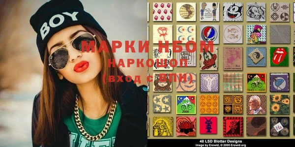 ECSTASY Бородино
