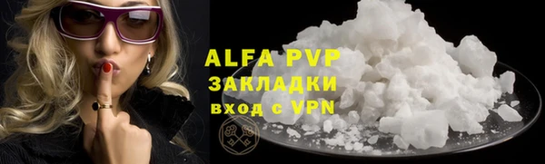 ECSTASY Бородино
