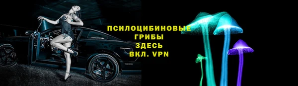 ECSTASY Бородино