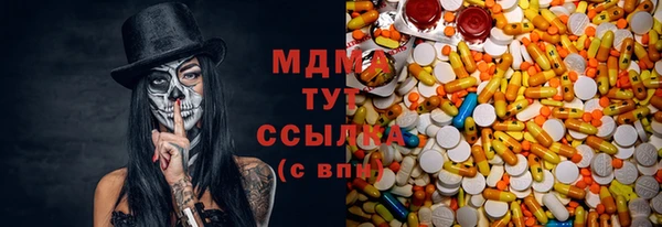 ECSTASY Бородино