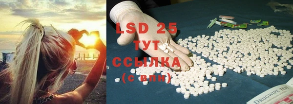 ECSTASY Бородино
