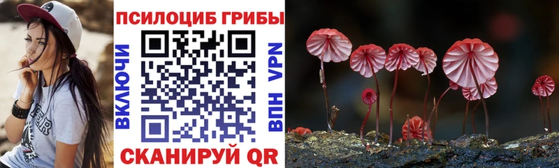Псилоцибиновые грибы GOLDEN TEACHER Химки